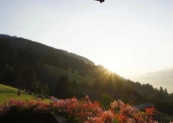 Casa vacanze With 1 Bedroom