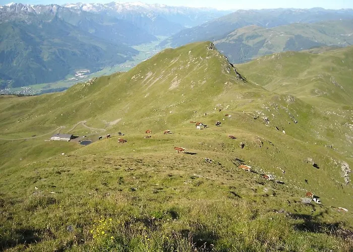 With 1 Bedroom * Mittersill