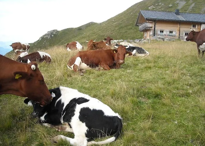 Dom wakacyjny With 1 Bedroom