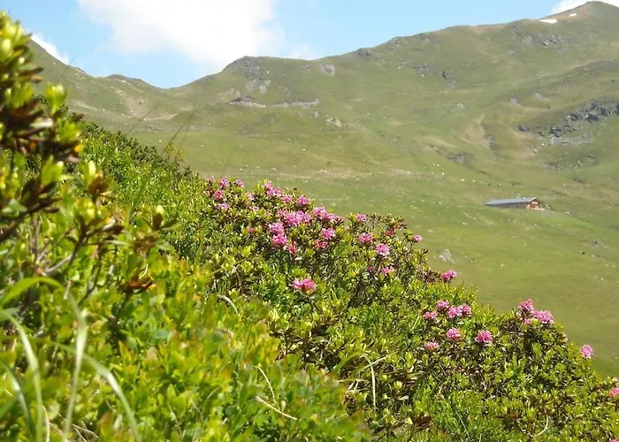 With 1 Bedroom Dom wakacyjny *