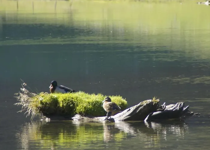 Casa vacanze With 1 Bedroom Mittersill